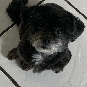 Meet your Posher, Juliette